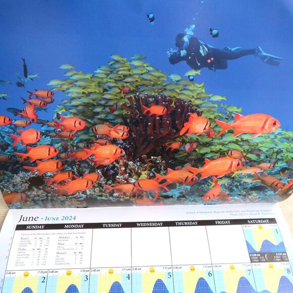 2 Hawaii Tide Moon Phase Calendars 2023/2024 Featuring Marine Life Photography - Picture 13 of 16